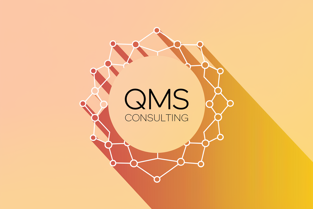 Expert QMS Consulting Illustration